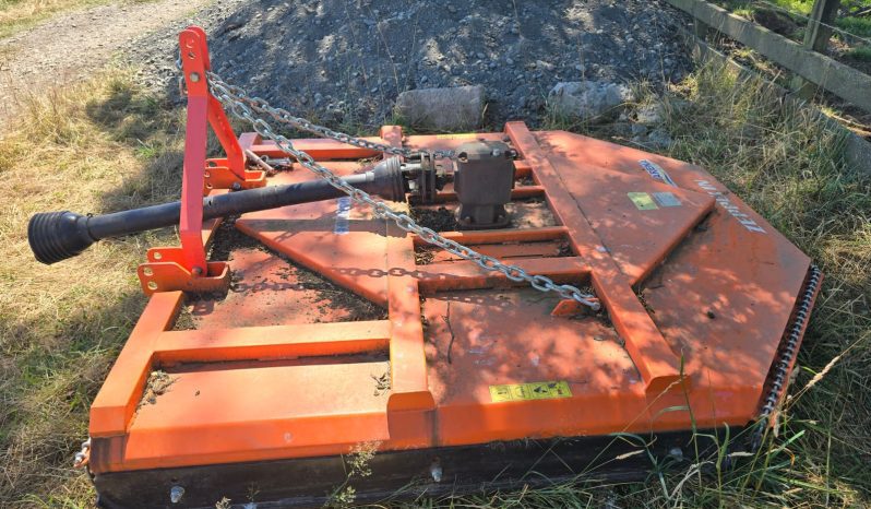 
								DESMALESADORA ZAPPELIN full									