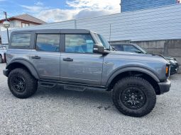 
										FORD BRONCO WILTRAK 2.7 BITURBO full									