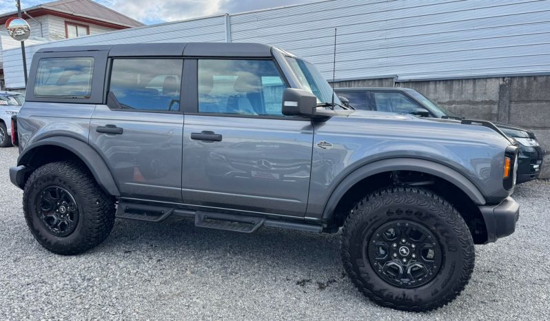 
								FORD BRONCO WILTRAK 2.7 BITURBO full									