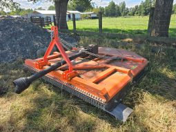 DESMALESADORA ZAPPELIN