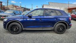 
										AUDI Q5 TFST 2.0 AUT full									