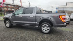 FORD F150 PLATINIUM FHEV 3.5L