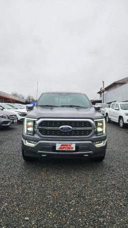 
										FORD F150 PLATINIUM FHEV 3.5L full									