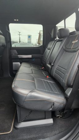 
										FORD F150 PLATINIUM FHEV 3.5L full									