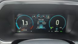 
										FORD F150 PLATINIUM FHEV 3.5L full									