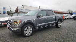 
										FORD F150 PLATINIUM FHEV 3.5L full									