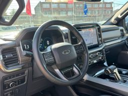 
										FORD F150 3.5L PLATINIUM FHEV full									