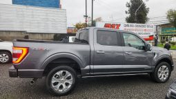 
										FORD F150 PLATINIUM FHEV 3.5L full									