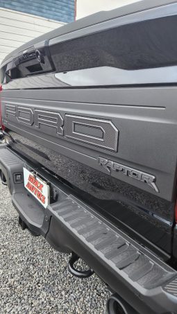 
										FORD F150 RAPTOR 4X4 3.5L AUT full									