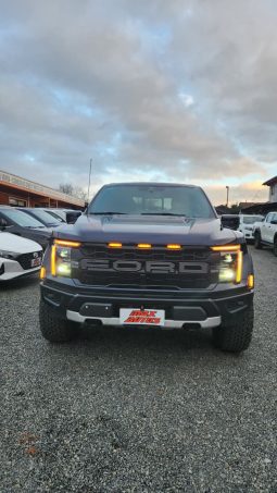 
										FORD F150 RAPTOR 4X4 3.5L AUT full									
