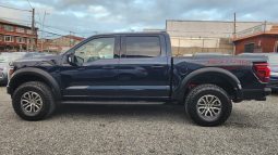 
										FORD F150 RAPTOR 4X4 3.5L AUT full									