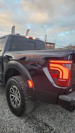 
										FORD F150 RAPTOR 4X4 3.5L AUT full									