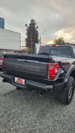 
										FORD F150 RAPTOR 4X4 3.5L AUT full									