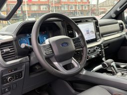 
										FORD F150 LARIAT LUXURY 5.0  4X4 full									
