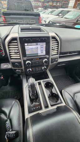 
										FORD F150 PLATINUM ECOBOOST 4X4 3.5 AUT full									