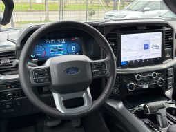 
										FORD F150 LARIAT LUXURY 5.0  4X4 full									