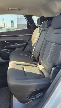 
										HYUNDAI TUCSON NX4  2.0 AUT 4WD full									