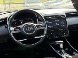 
										HYUNDAI TUCSON NX4  2.0 AUT 4WD full									