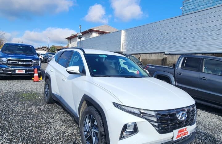
								HYUNDAI TUCSON NX4  2.0 AUT 4WD full									