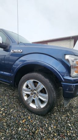 
										FORD F150 PLATINUM ECOBOOST 4X4 3.5 AUT full									