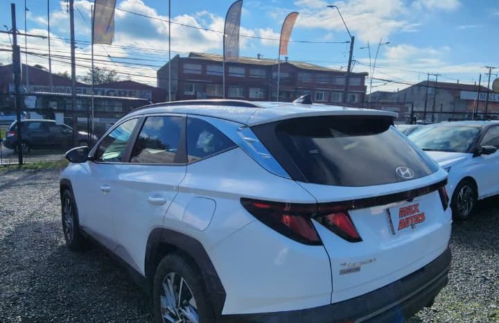
								HYUNDAI TUCSON NX4  2.0 AUT 4WD full									