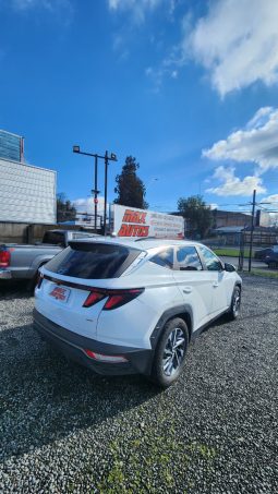 
										HYUNDAI TUCSON NX4  2.0 AUT 4WD full									