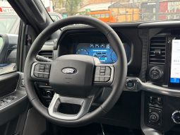 
										FORD F150 LARIAT LUXURY 5.0  4X4 full									