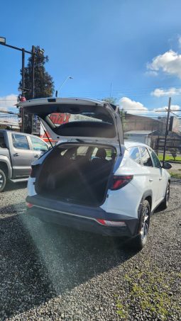 
										HYUNDAI TUCSON NX4  2.0 AUT 4WD full									
