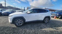 
										HYUNDAI TUCSON NX4  2.0 AUT 4WD full									