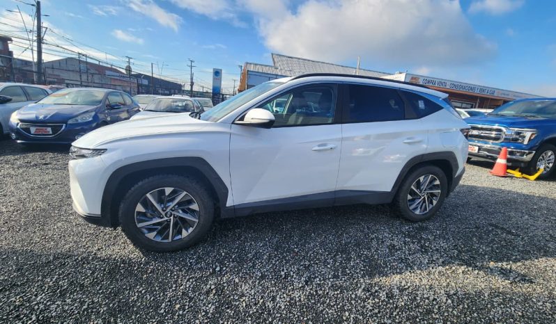 
								HYUNDAI TUCSON NX4  2.0 AUT 4WD full									