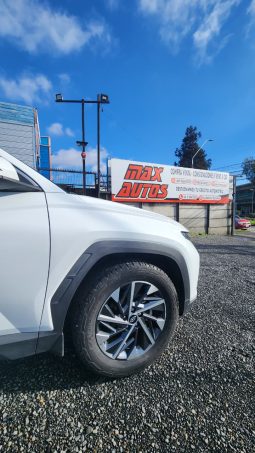
										HYUNDAI TUCSON NX4  2.0 AUT 4WD full									